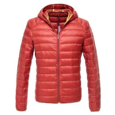 China Cheap Men stock clothing,down feather zipper coats & Brand winter down jacket with hoodie for sale