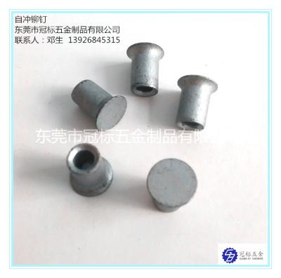 Cina L'auto ad alta resistenza che penetra rivetta JIS 5.3x6mm standard 5.3x7mm 5.3x8mm in vendita