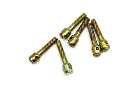 中国 Cylindrical Head With Hole Coarse Thread Meter Screws, Galvanized Iron Or Stainless Steel Sealing Screws For Instruments 販売のため