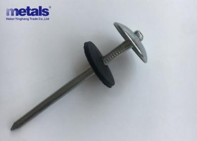 Κίνα Ανθεκτικοί στη διάβρωση καρφιά Galv Clout Electro Galvanized Nails προς πώληση