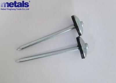 Cina Ring Shank Hot Galvanized Roofing Nails 2.5 