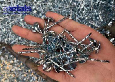 China High Performance 1/2 Inch Galvanized Steel Roofing Nails Long Lasting Results for sale