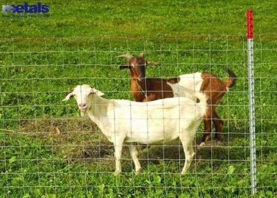 China Fabrieksverkoop 3Ft 4Ft 5Ft 6Ft High Field Fence Farm Goat Proof Heavy Duty Fixed Knot Woven Wire Field Game Fence Te koop