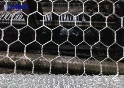 China BWG14 Pollo Galvanizado Hexagonal de Pollo de malla de alambre 3ft X 100ft en venta