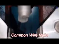 smooth shank common wire nails round head nails