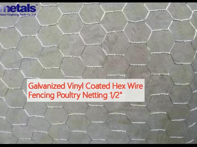 Galvanized Vinyl Coated Hex Wire Fencing Poultry Netting 1/2“