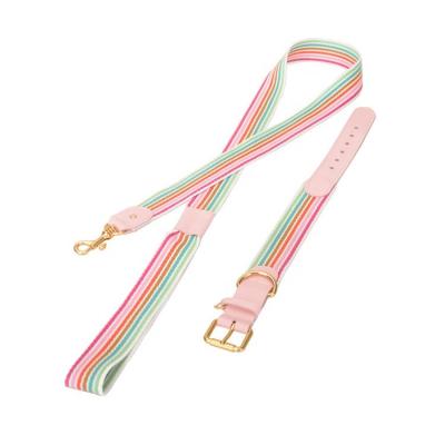 China Sublimation Pet Leash Pet Leash Stocked Retractable Pet Products Leash for sale