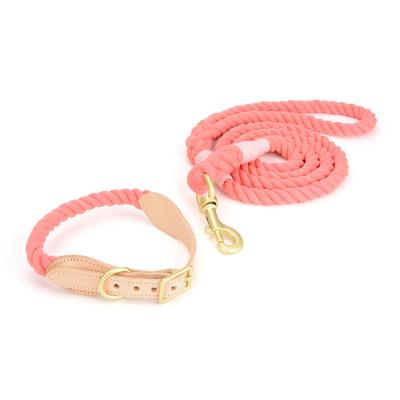 China Promotional Multifunctional Dog Leash Dog Leash OEM Cheapest Wholesale Stocked Dog Training Leash for sale