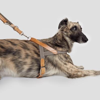 China Leather Dog Harness Accessories Pet Harness Fashion Dog Harness Stocked Leather Pet for sale