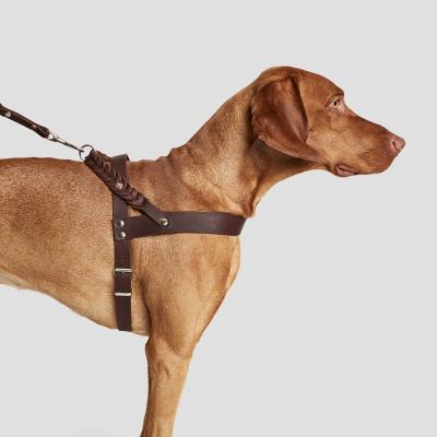 China Good Material Safety PU Leather Soft Stocked Pet Harness Pet Accessories Pet Harness for sale