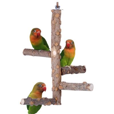 China Stocked Wooden Stand Cage Cupcake Play Parrot Hook Perches For Birds Tree Window Feeder Large Wooden For Sale Natural Bird Perch for sale