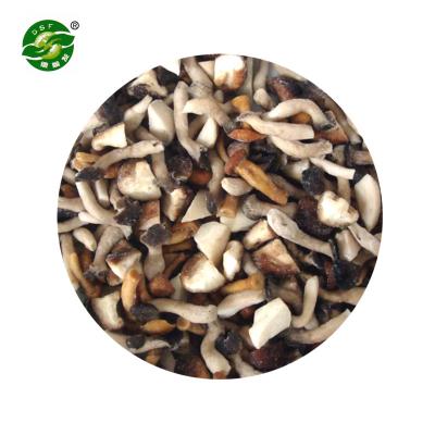 China New season new advanced iqf FROZEN mixed cultivation equipment mushroom for sale