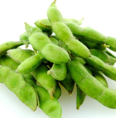 China IQF Frozen Vegetable Frozen Green Edamame Beans Vegetables for sale