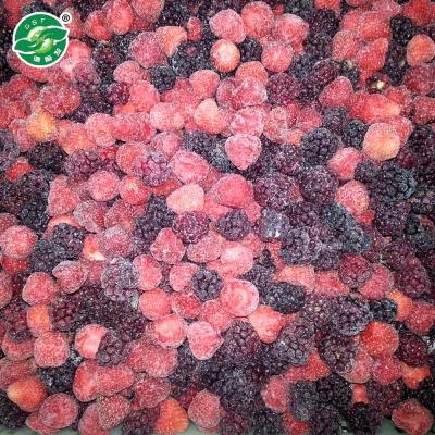 China IQF FROZEN Berry Strawberry Blackberry Blueberry Mixed Raspberry for sale