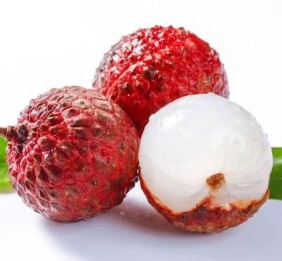 China New season frozen lychee IQF JELLY with good quality and hot price for sale