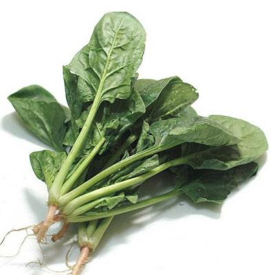 China Good Advanced Test Cut Spinach IQF Frozen Vegetable Type FROZEN for sale