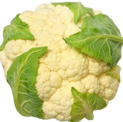 China Hot Selling FROZEN BRC Certified Frozen Cauliflower Good Quality for sale