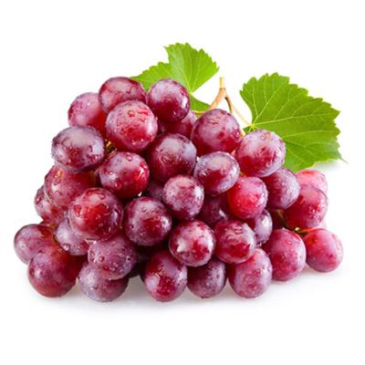 China IQF FROZEN fruit new style frozen best seller grapes for sale