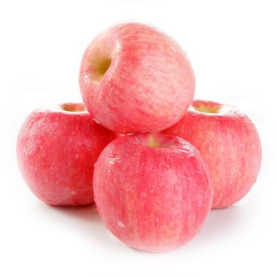 China Chinese Apple red delicious fresh food fresh fruit products for sale