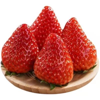 China IQF FROZEN bulk frozen strawberry with good price for sale