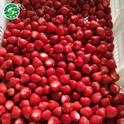 China FROZEN Gold Supplier Bulk Iqf Frozen Strawberry New for sale