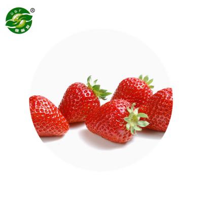 China Good Quality Frozen Strawberry Fruit Good Quality Frozen Price for sale