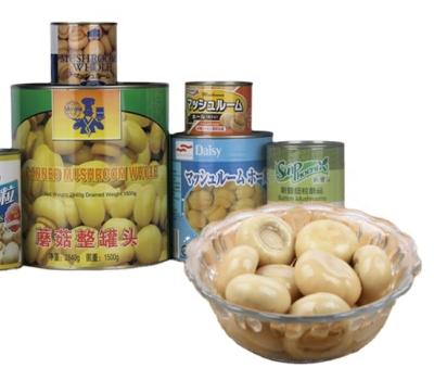 China Canned Whole White Mushroom Button Champignon Champignon 2840g for sale