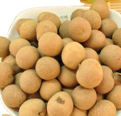 China 567g Canned Packing Canned Longan Cheap Canned Fruit for sale