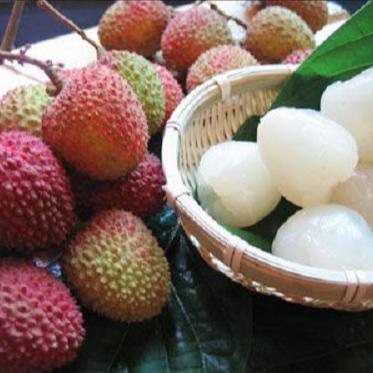 China Canned fruits canned whole lychees in light syrup for sale