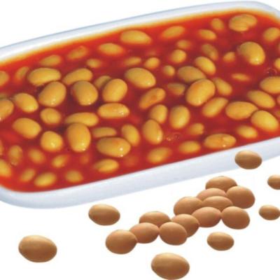 China Manufacturing Canned Price Canned White Kidney Bean In Tomato Sauce for sale