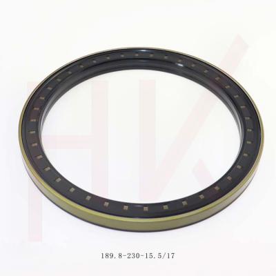 China High Temperature Resistance Cassette Gasket For Truck Wheel Hub RWDR-KASSETTE NBR Rubber Seal 189.8*230*15.5/17 189.8*230*15 for sale