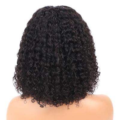 China Curly Curly $5 OFF Cheap Price 100 Brazilian Virgin Human Hair Curly Lead Lace Front Wigs For Women for sale