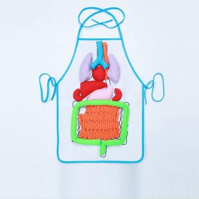 China DIY Toy Set High Grade Human Body Organs Early Education Organ Apron Educational Toy for sale