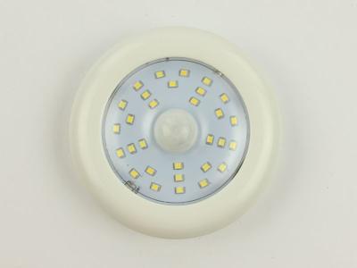 China luz de emergencia del garaje de la escalera de la entrada del pasillo de la luz de techo del pórtico del sensor de movimiento 220V SMD en venta