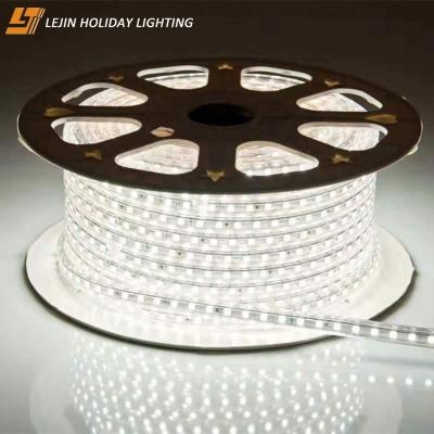 China Outdoor Led Garden Rope Light Factory Sales 110V Holiday Decoration Led Outdoor Garden Rope Light for sale