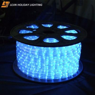 China Outdoor IP65 LANDSCAPE High Waterproof Led Rope Light For Holiday Garden Decoration for sale