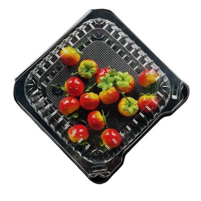 China Disposable Disposable Plastic PET One Compartment Clear Hinged container plastic boxes for fruit Customization plastic containers for sale