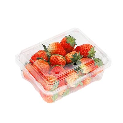 China Disposable Wholesale clear plastic fruit clamshell fruit packaging container boxes for fruit Customization plastic containers for sale