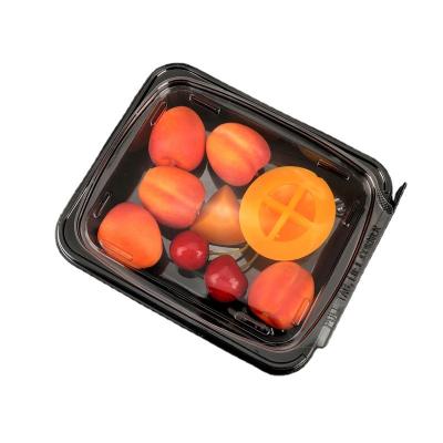 China Disposable Disposable Plastic PET Food Grade Transparent Sealed Square Clamshell Fruit Packaging Box With Lock Lid for sale