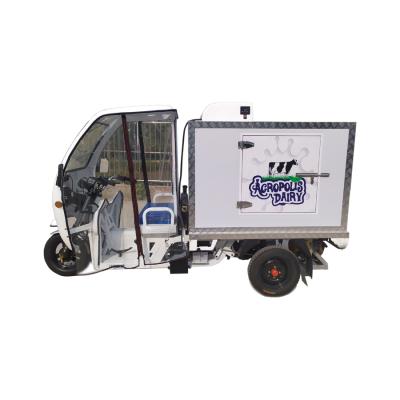 China Cargo Gasoline Tricycle Freezer Tricycle Refrigerator with 1000L Fridge Freezer for sale