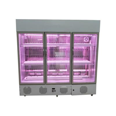 China Constant Temperature and Humidity Plant Incubator LVKE-900PYX for sale