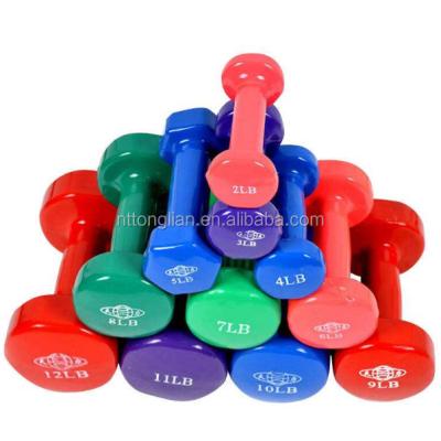 China Small Dumbbell Vinyl Covered Bodybuilding Weight Vinyl Dumbbells For Women for sale