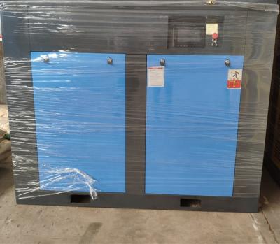 China High Working Efficiency 15kw 20hp Oil Free Oil Free Screw Air Compressor for sale