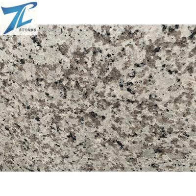 China interior & Big China Bala White Outdoor Cheap Granite Decoration Slab for sale