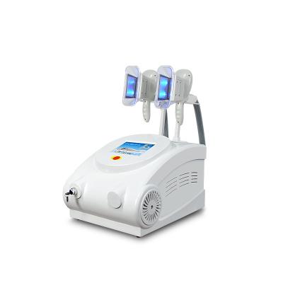 China Renlang OEM Portable Fat Freezing Machine Cryo Sculpting Machine for sale