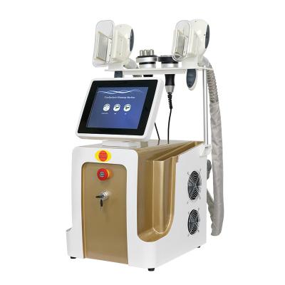 China Cryolipolysis Fat Freezing Machine For Weight Loss for sale