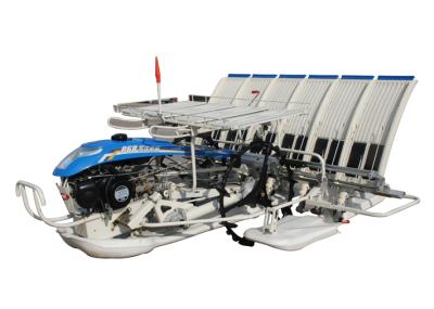 China P68 Hand Type Transplanter for sale