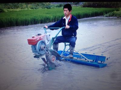 China Rice seed planter for sale