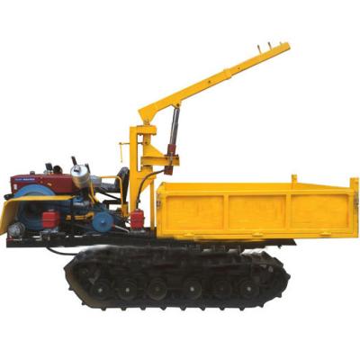 China Manufacturer Supply Crawler Lorry-Mounted Crane, Paddy Field Truck, Farm Transporter, Crawler Crane for sale