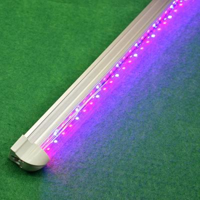 China Seed Starting T8 Led For Growing Light 28w Full Spectrum Led Plant Light For Indoor Breeding for sale